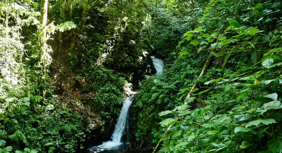 Monteverde Costa Rica